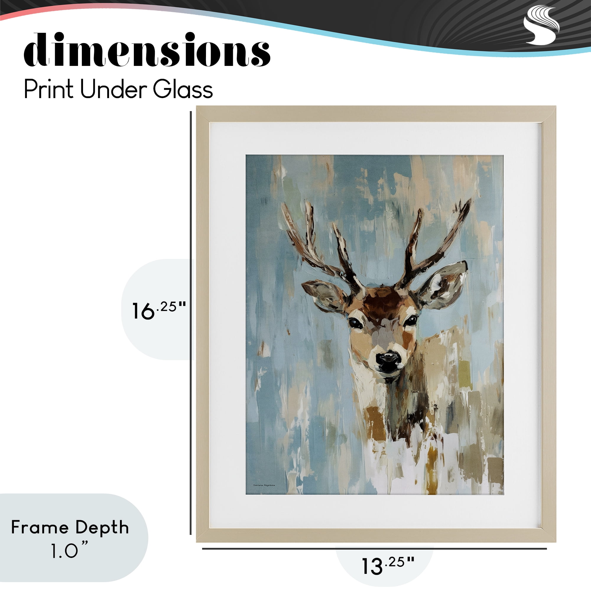 Stupell Industries Echoes Of The Wild Birch Framed Print Under Glass, design by Svetlana Aleynikova