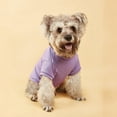thumbnail image 6 of All Seasons Dog Vest Blouse For Small And Medium Dogs, Cotton Material With Winter Fleece Lining, Warm Windproof Design For Cold Weather Protection, Suitable For 2-30.3Lb Pets, 6 of 7