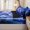 Blue White, variant on Erosebridal Twilight Ice Dragon Print Zipper Twin Comforter Sets with Fitted Sheet and 2 Pillowcases,Cathedral Glass Window Accent Zipper Bedding Set,Purple Blue,4-Piece,Black Reversible
