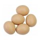 thumbnail image 1 of Nido de plástico para gallinero artificial con forma de huevo falso, práctico y práctico, 5 unidades, 1 of 1