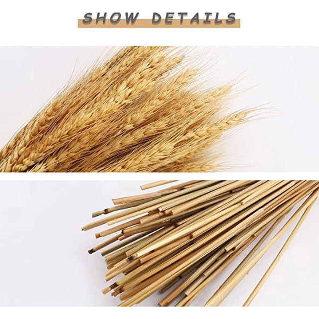 Paquete de 100 hojas de trigo secas para repisa de chimenea, hogar, cocina, iglesia, mesa de boda, corona de Navidad