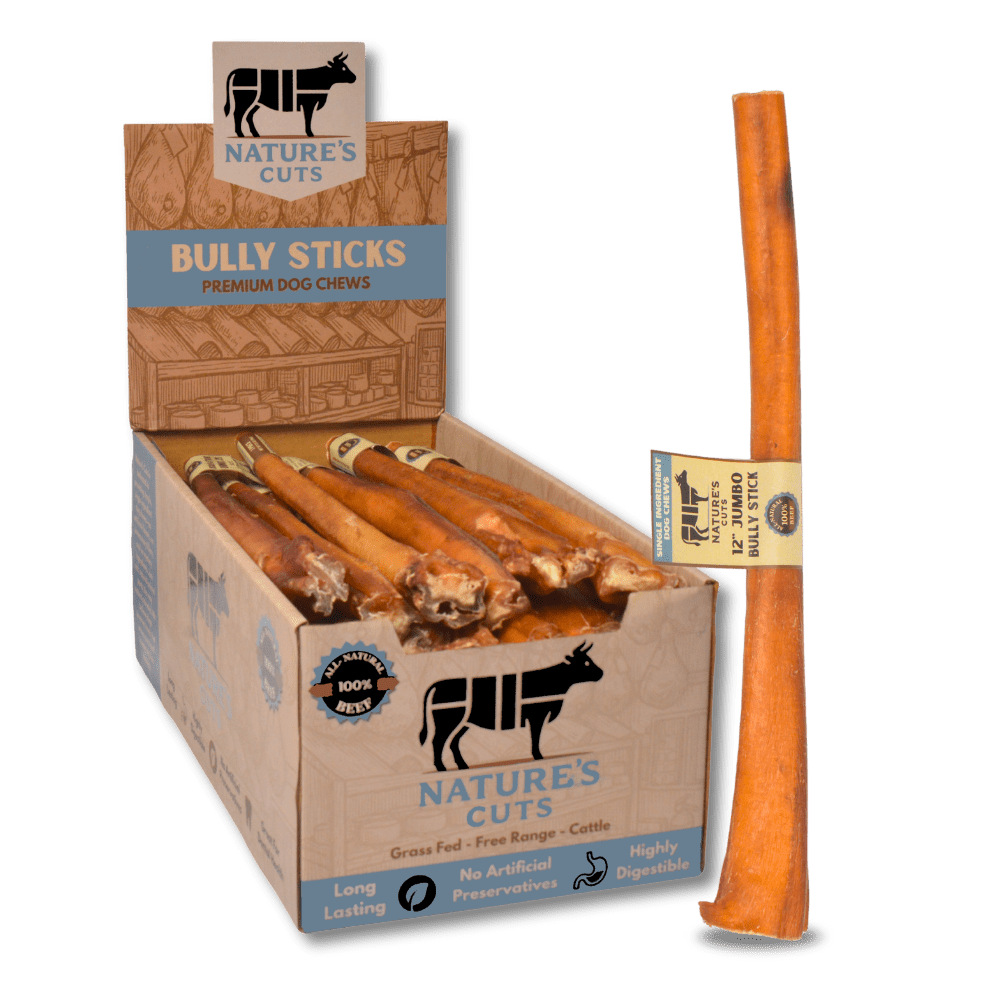 12" Jumbo Bully Sticks Display Box (30 ct) with Individual UPC Tags - 100% All Natural Beef