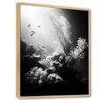thumbnail image 2 of Designart "Monochrome Subaquatic Tranquility II" Coastal Coral Under Water Floater Framed Canvas Prints, 2 of 5