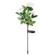 thumbnail image 1 of Ounissouiy - Lámpara de rosa con energía solar, jardín, patio, patio, flor brillante, luz solar de inducción Iluminación y accesorios No.04 Ounissouiy HA002365-04, 1 of 1