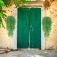 thumbnail image 1 of Viflosae Clearance Admiralty Tree Plant Background Wall Decoration Encrypted Chlorophytum Rattan WOW finds, 1 of 2