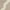 Beige/Ivory, variant on SAFAVIEH Cambridge Liam Geometric Wool Area Rug, Ivory/Light Green, 6' x 6' Square