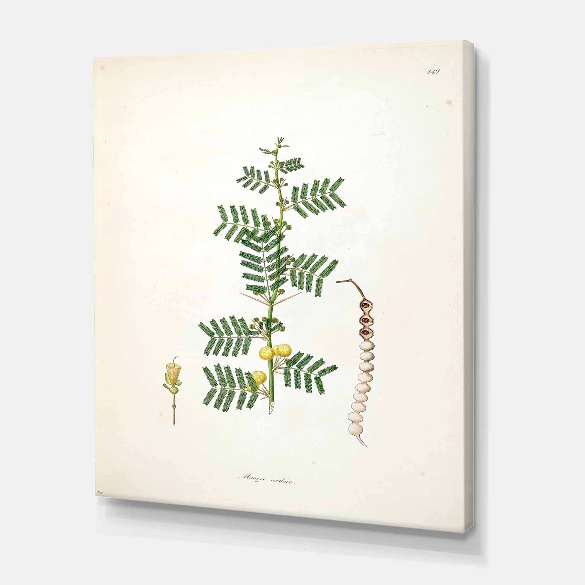 Designart ' Ancient Blossoming Flower III ' Farmhouse Canvas Wall Art Print