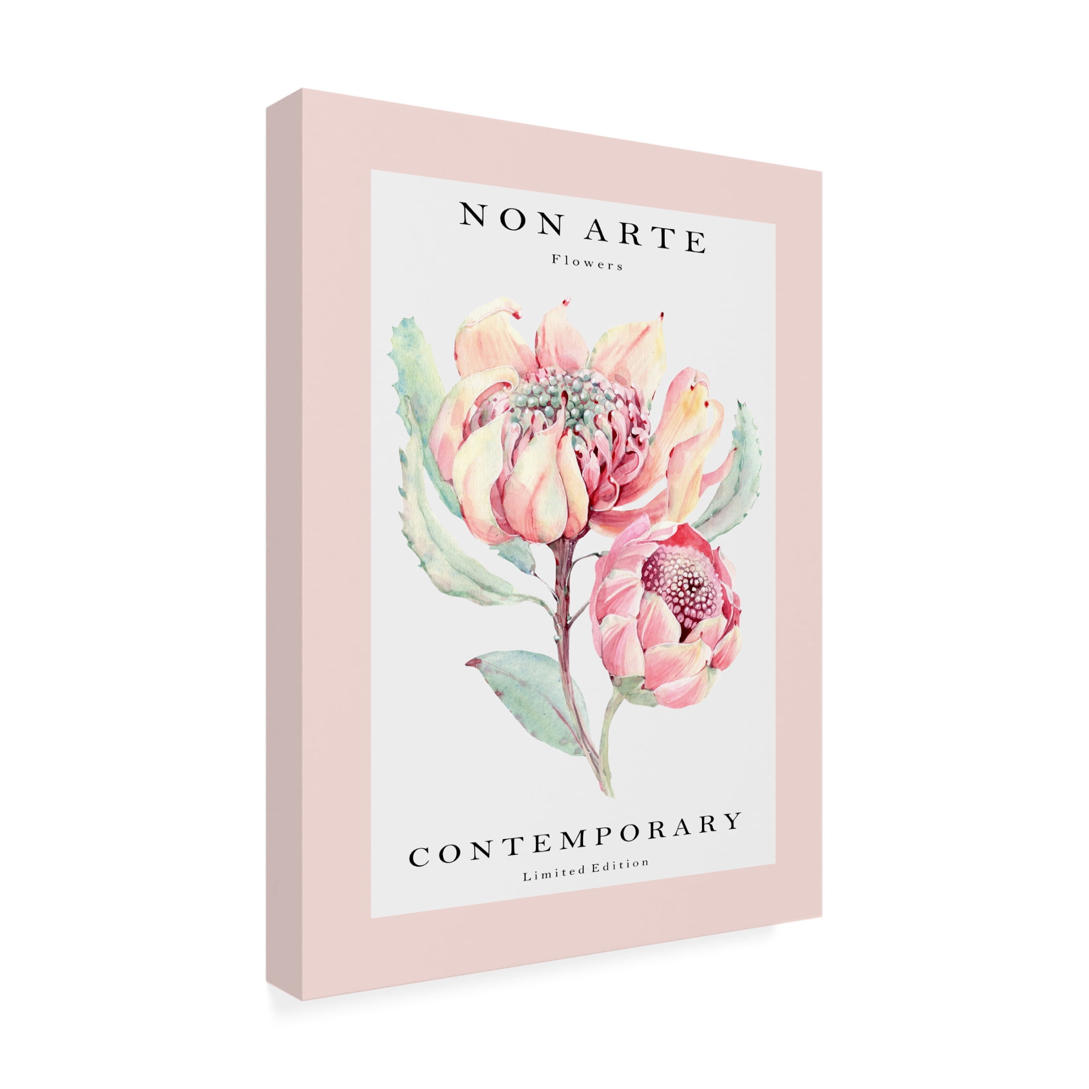 Trademark Fine Art Rikke Londager Boisen Non Arte rose flower Canvas Wall Art