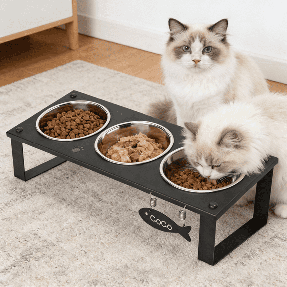 Elevated Cat Bowls with Food Mat, 10°Tilted Non-Slip Raised Cat Food Water Bowls Set, 3 Stainless Steel Pets Bowls with Cute Metal Feeding Stand for Indoor Kitten Puppy