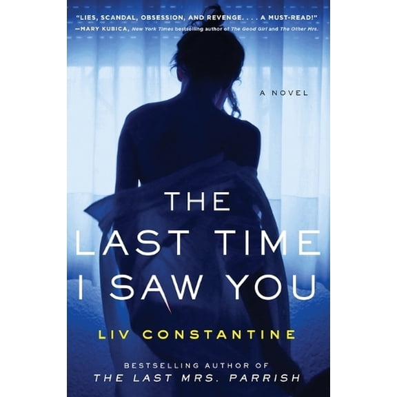Pre-Owned The Last Time I Saw You (Paperback) 0062868829 9780062868824