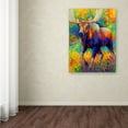 thumbnail image 3 of Trademark Fine Art 'Bull Moose' Canvas Art by Marion Rose, 3 of 3