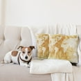 thumbnail image 4 of Ambesonne Compass Throw Pillow Cover 2 Pack, Old Fashioned World Map, 24", Cream Tan, 4 of 5