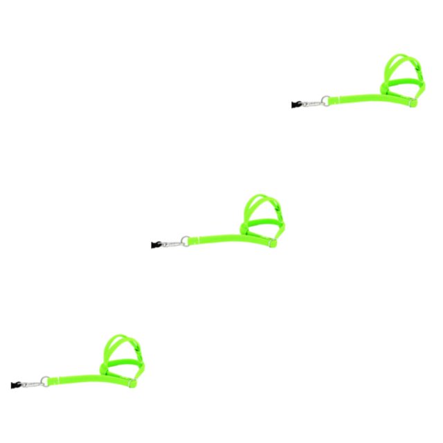 Methold Cuerda para pájaros ajustable combinada con fácil de usar: entrenamiento y aventuras al aire libre Arnés para pájaros verde Type1 NO1