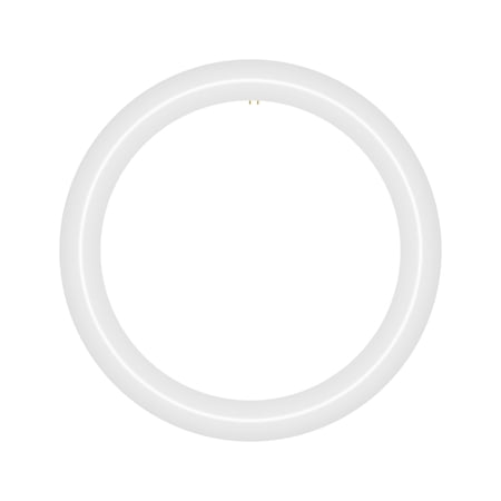 NYLL 12 inch T9 Circline Type A Plug & Play LED Lamp, Daylight (6000K) Direct Replacement for 32W FC12T9/D, FCL32W (Without Rewiring or Modification) Ballast Required!