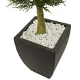 thumbnail image 3 of Nearly Natural 4.5' Cypress Artificial Topiary with Black Planter UV Resistant, 3 of 7