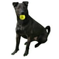 Hyper Pet Tennis Balls, Dog Fetch Toys, Grade A Rubber Ball, Orange, 4