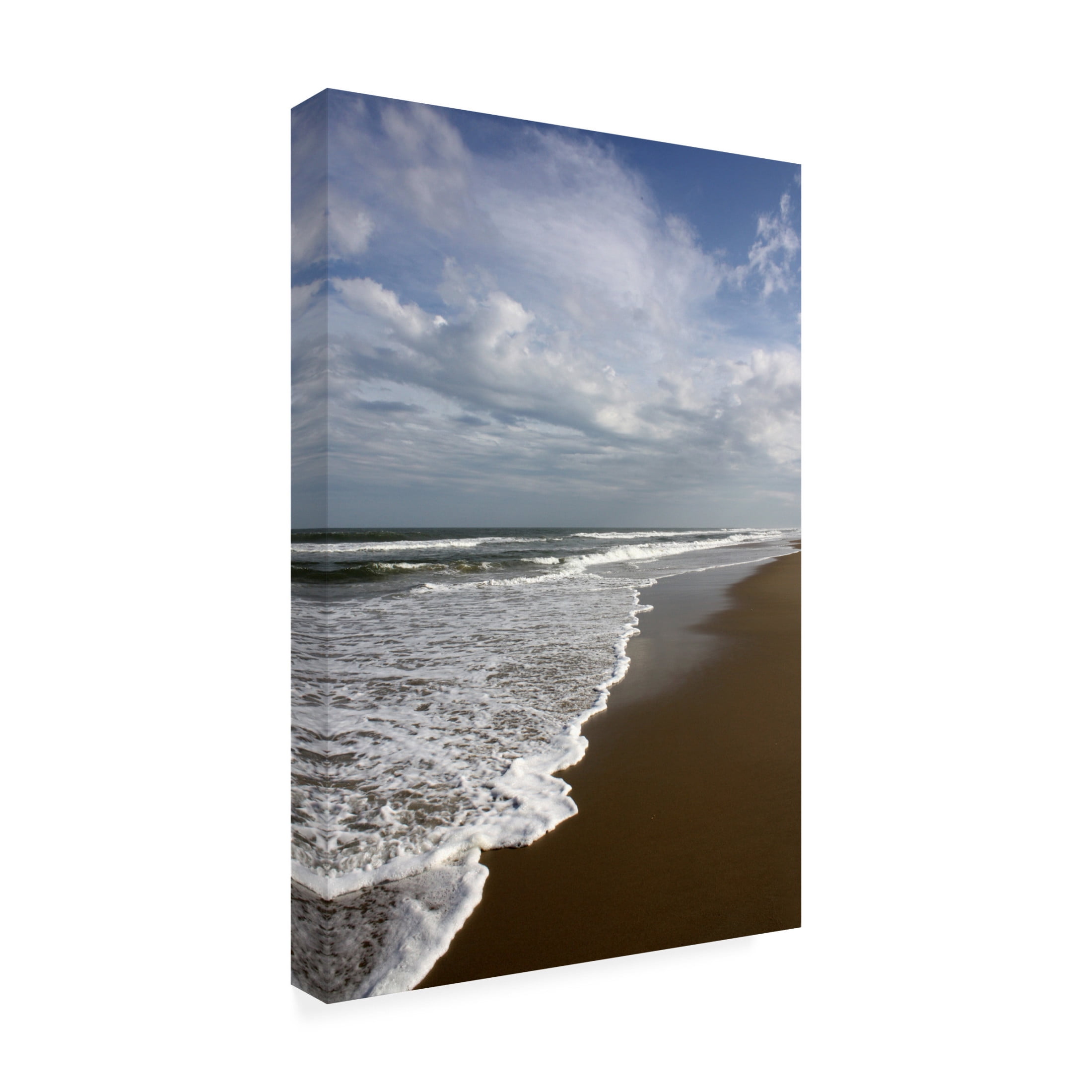 Canvas Wall Art - DANE 'Beaches 14' Wall Art for Living Room, Bedroom, or Office Décor by Trademark Fine Art - 12 x 19 Inches