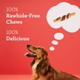 thumbnail image 4 of DreamBone Sticks Wrapped with Real Chicken, Rawhide-Free Chews for Dogs, 8 Count, 4 of 11