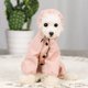 thumbnail image 2 of Impermeable para perros con patas, tiras reflectantes, cordón ajustable y capucha, chaqueta ligera para la lluvia para perros pequeños y medianos (rosa)., 2 of 5