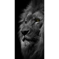 thumbnail image 3 of Prime, Marcus 11x18 Black Modern Framed Museum Art Print Titled - Powerful Resilience 1, 3 of 5
