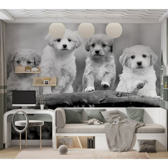 Animal Wallpaper Wall Mural - Four Puppies