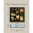 thumbnail image 3 of Curator Home Luxury Gift Long Safety Matches I Stylish Floral Design Square Matchbox, 3 of 3