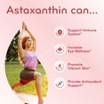 thumbnail image 4 of Clear Formulas Astaxanthin Antioxidant Supplement Softgels 10mg, Eye & Immune Health,180 Count, 4 of 11