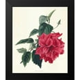 thumbnail image 2 of Unknown 15x17 Black Modern Framed Museum Art Print Titled - Rose Hibiscus I, 2 of 5