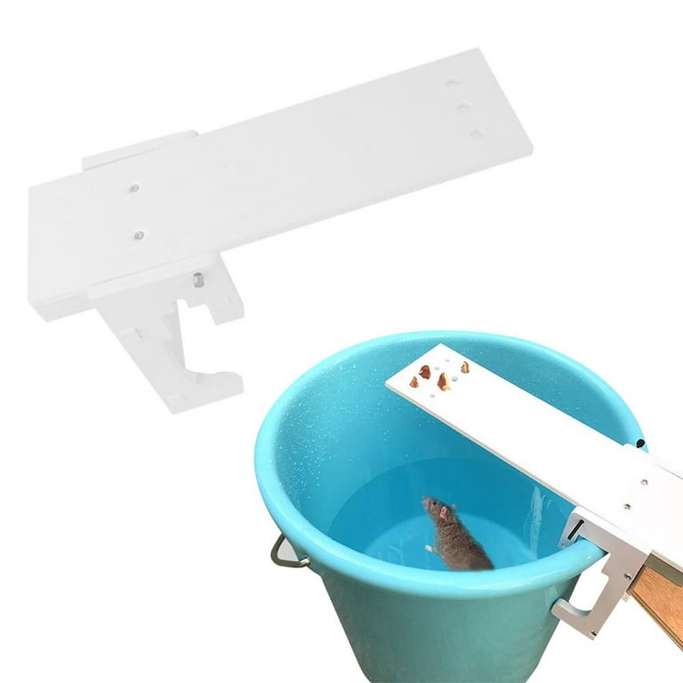 Easy Outdoor Mouse Trap, Genie in the Garden