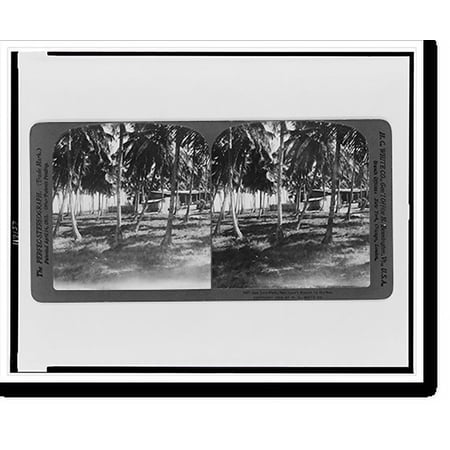 Historic Print, San Jose Park, San Juan's resort by the sea, 16" x 20"