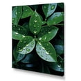 thumbnail image 2 of Designart "Rain-Kissed Botanical" Abstract Botanicals Canvas Wall Art, 2 of 7