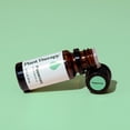 thumbnail image 6 of Plant Therapy Peppermint Essential Oil 10 mL (1/3 oz) 100% Pure, Undiluted, Natural Aromatherapy for Diffuser & Topical Use, Digestion, Respiratory, & Massage, Peppermint Oil for Skin & Hair, 6 of 9