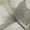 Taupe, variant on Addison Rugs Mayfield Premium Machine Washable Transitional Botanical Taupe Rectangle Rug, 10' x 14'