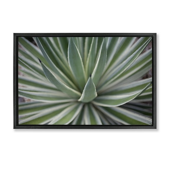 Stupell Industries Striped Plant Leaves Botanical & Floral Photography Black Floater Framed Canvas Art Print Wall Art, 25 x 17