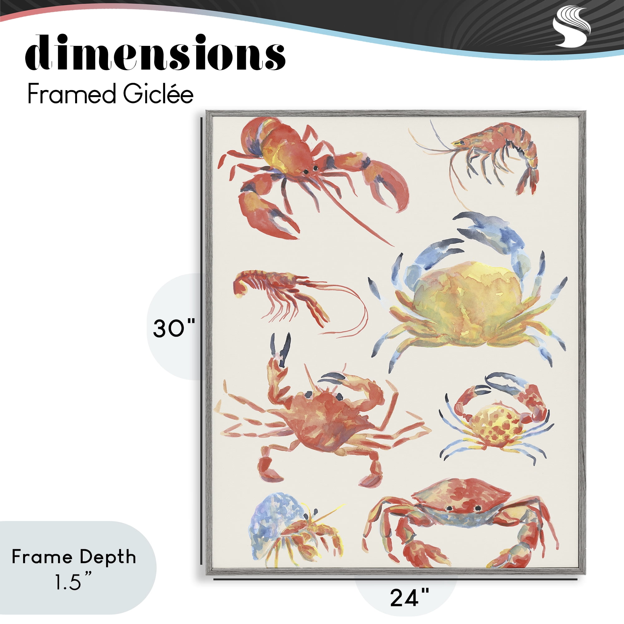 Stupell Industries Crab & Crustacean Collection Gray Framed Giclee Art, design by June Erica Vess