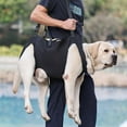 thumbnail image 3 of WE-POLUJ Adjustable Dog Sling for Large Dogs Pet Dog Legs Support Strap Senior Dog Supply, 3 of 19