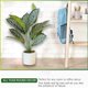 thumbnail image 5 of Planta de banyan artificial, planta en maceta blanca, regalo perfecto para inauguración de la casa., 5 of 5
