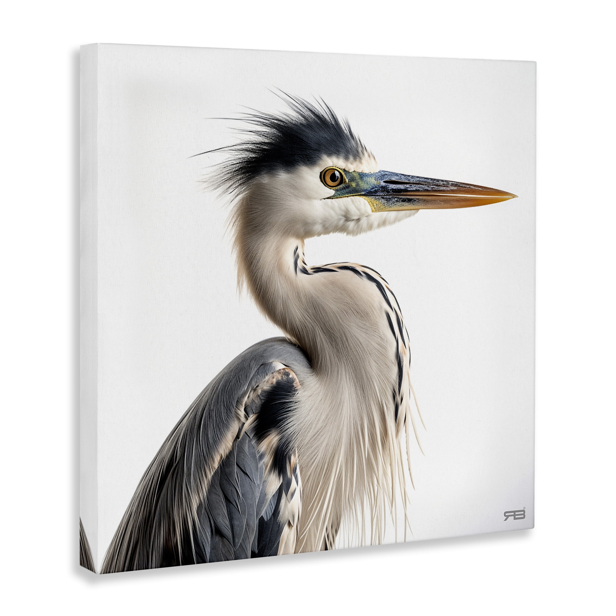 Stupell Industries Stoic Heron Looking Right Animals & Insects Painting Gallery Wrapped Canvas Art Print Wall Art, 30 x 30