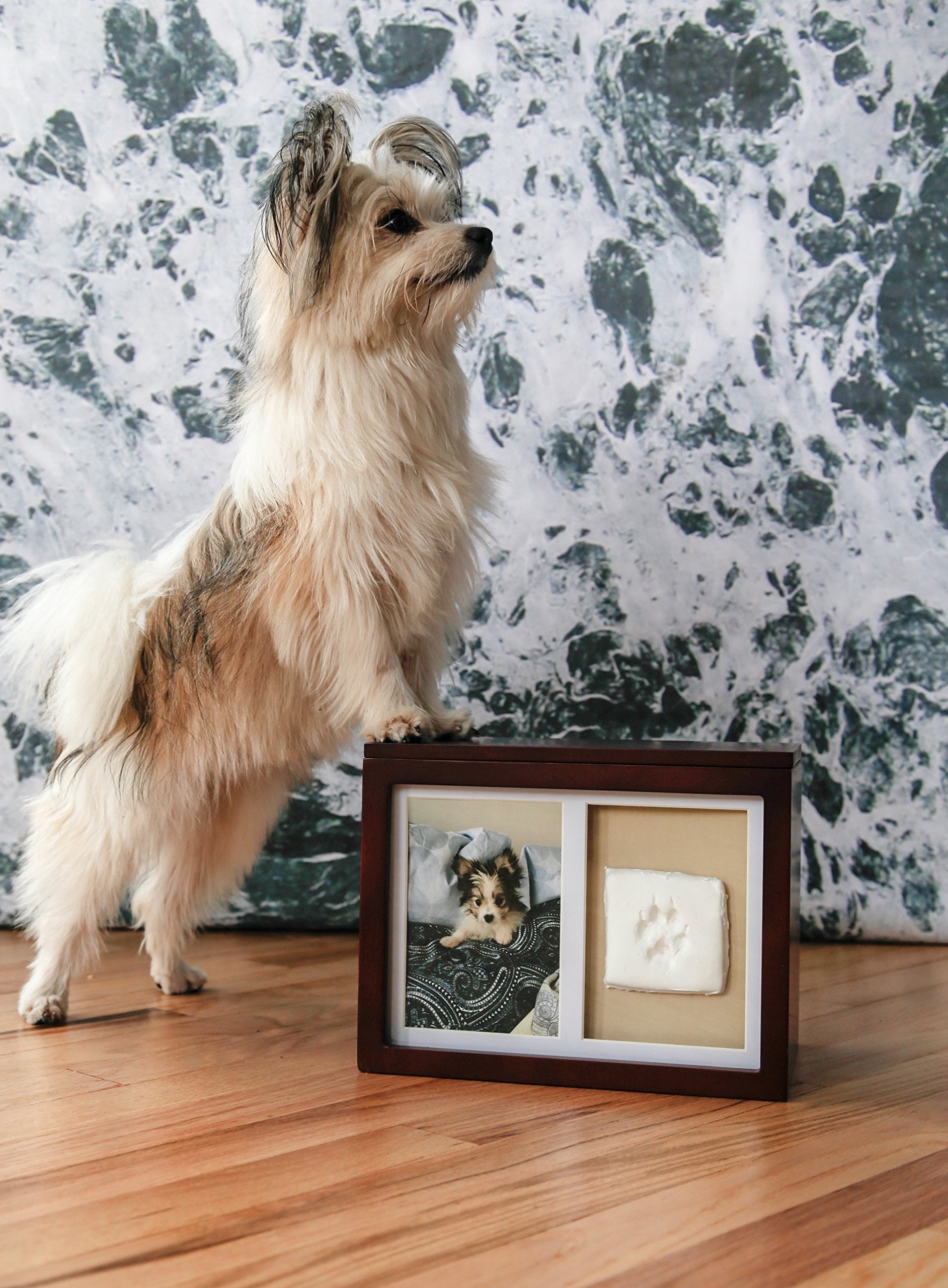 PETT Pet paw print frame with clay print kit and photo display
