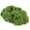 dark green, variant on Fake Green Moss for Potted Plants Indoor, Artificial Moss for Crafts, Realistic Faux Mosses Decor for DIY Fairy Garden, Terrariums, Table Centerpieces, Wedding & Home Decoration