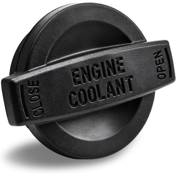 chasenew Coolant Reservoir Cap Compatible with 2015-2024 Hyundai Genesis G80 G90 Sonata Nexo 2017-2020 Kia Cadenza K900 Optima Replace 25441-B1000 25441B1000