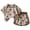 R407-Brown, variant on NOLDARES Kids Toddler Baby Boys Outfits 2 Piece Trendy Print Short Sleeve Round Neck T-Shirt and Relaxed Fit Shorts Sets Clothes(Brown,18-24 M)