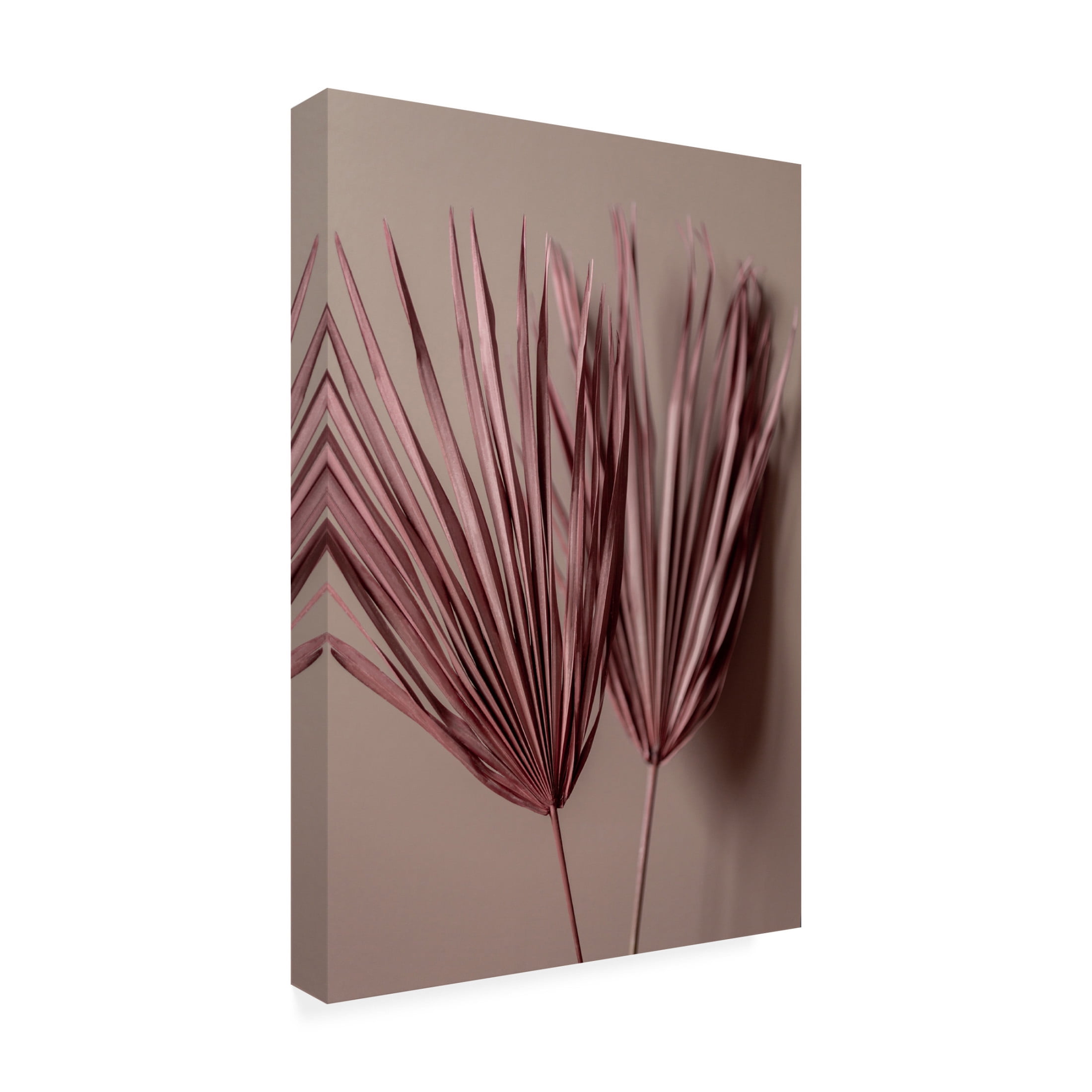 Trademark Fine Art Mareike Bohmer Last Summer 26 Canvas Wall Art