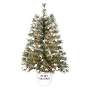 Holiday Time 3.5-Foot Prelit Norfolk Potted Porch Artificial Christmas Tree, with 50 Clear Incandescent Lights