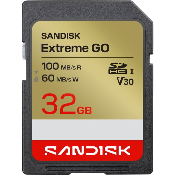 32GB SANDISK Extreme® GO SD UHS-I Card