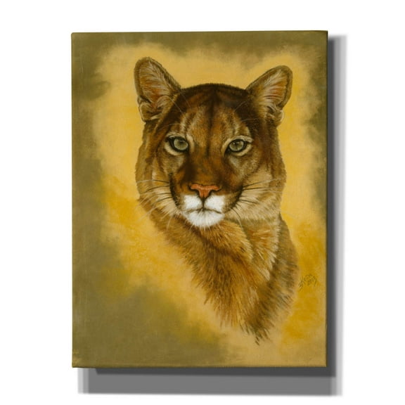 Epic Graffiti 'Mystical Encounter' by Barbara Keith, Canvas Wall Art, 26"x34"