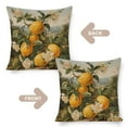 thumbnail image 3 of Outdoor Cushion Covers Vintage Garden Lemon Fruit Tree Plant Cushion Case 20"x20" Lemon Fruits with Flowers And Leaves Pattern Farmhouse Pillow Covers Gifts for Home Decor, 3 of 7