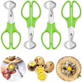 thumbnail image 1 of 4 Piece Quail Egg Scissors, Stainless Steel Quail Egg Scissors, Small Quail Egg Scissors, Quail Egg Opener, Eggshell Opener Kitchen tool, for Home, Restaurant, Kitchen (Green), 1 of 5
