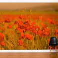 thumbnail image 2 of ADZif Fresk Field of Poppies Wall Mural, 2 of 5