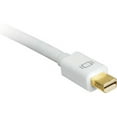 thumbnail image 3 of 10FT MINI DISPLAYPORT TO DVI CONVERTER CABLE, 3 of 6